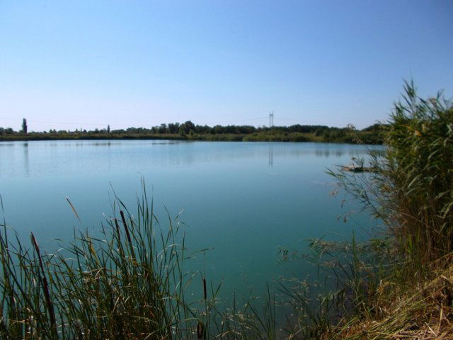 Eladó telek, Délegyházán, Robinson parkban 262.8 M Ft
