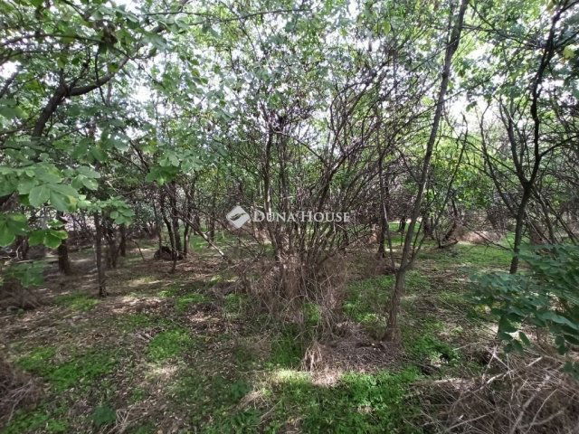 Eladó telek, Alsónémediben 84.9 M Ft / költözzbe.hu