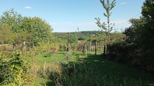 Eladó nyaraló, Zalaegerszegen 7.9 M Ft, 2 szobás