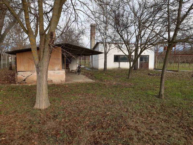 Eladó mezogazdasagi ingatlan, Gyulán 29 M Ft