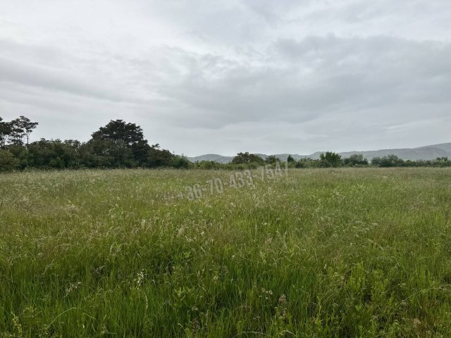 Eladó telek, Törökbálinton 51.475 M Ft / költözzbe.hu