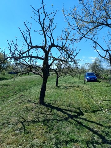 Eladó telek, Gyomaendrődön, Dobó István utcában 2.5 M Ft