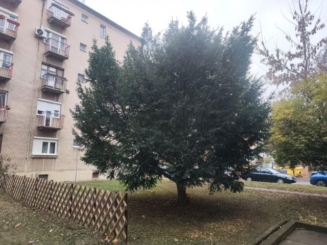 Eladó téglalakás, Szegeden 45 M Ft, 2 szobás