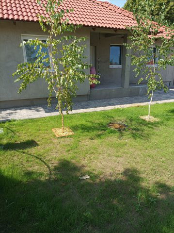 Eladó családi ház, Tiszakécskén 59.9 M Ft, 3 szobás