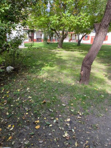 Eladó mezogazdasagi ingatlan, Lajosmizsén 205 M Ft, 22+4 szobás