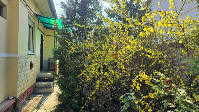 Eladó családi ház, Budapesten, XV. kerületben 79.9 M Ft