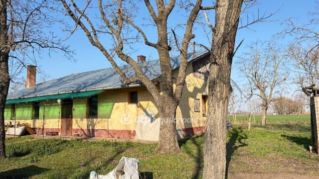 Eladó mezogazdasagi ingatlan, Csongrádon 25.9 M Ft, 2+1 szobás