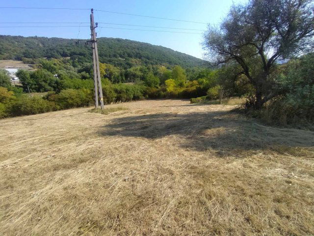 Eladó mezogazdasagi ingatlan, Verőcén 49.5 M Ft