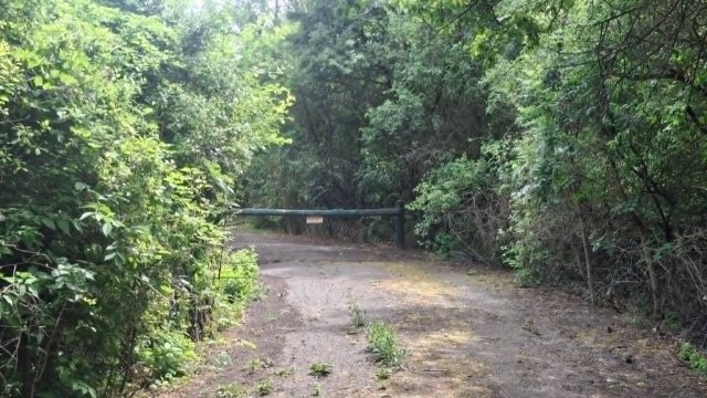 Eladó mezogazdasagi ingatlan, Szászbereken 8.5 M Ft