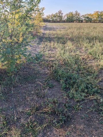 Eladó telek, Kengyelen 2.4 M Ft / költözzbe.hu