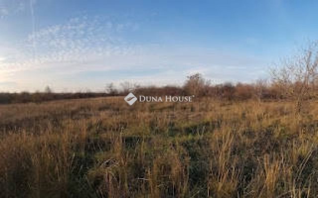 Eladó telek, Maglódon 170 M Ft / költözzbe.hu