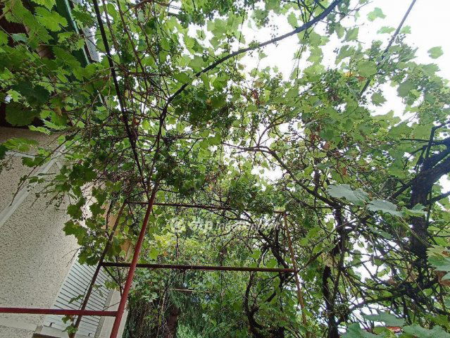 Eladó családi ház, Jászfényszarun 47.9 M Ft, 3 szobás