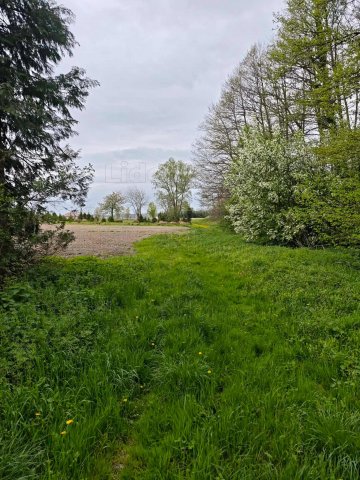 Eladó családi ház, Gyékényesen 38.2 M Ft, 2 szobás