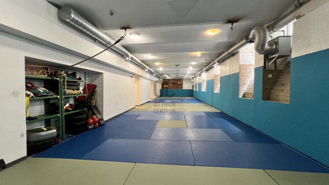 Eladó ipari ingatlan, Budapesten, VI. kerületben 135 M Ft