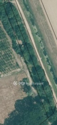 Eladó telek, Tiszaszőlősön 4.1 M Ft / költözzbe.hu
