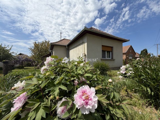 Eladó családi ház, Tormaföldén 22 M Ft, 2 szobás