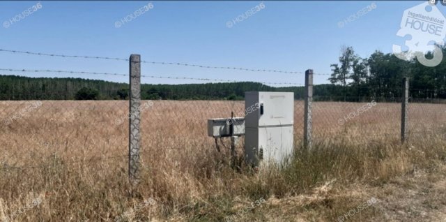 Eladó telek, Tiszaalpáron 5.9 M Ft / költözzbe.hu