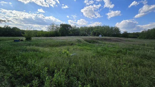 Eladó telek, Bácsalmáson 1.699 M Ft / költözzbe.hu