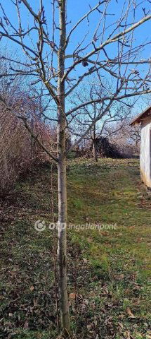 Eladó telek, Aranyosgadányban 2.9 M Ft / költözzbe.hu