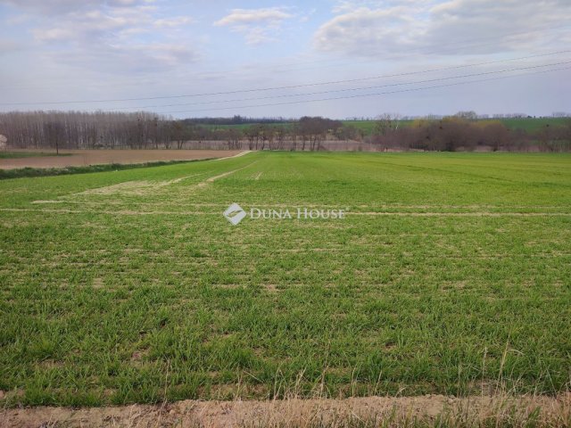 Eladó telek, Tápszentmiklóson 4.9 M Ft / költözzbe.hu