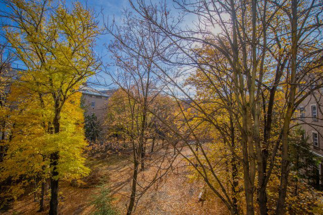 Eladó téglalakás, XIV. kerületben, Bolgárkertész utcában