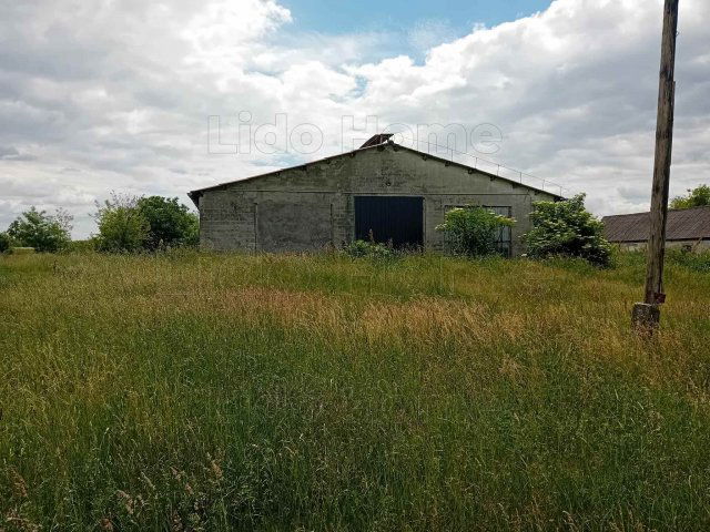 Eladó mezogazdasagi ingatlan, Zamárdiban 60 M Ft, 1 szobás