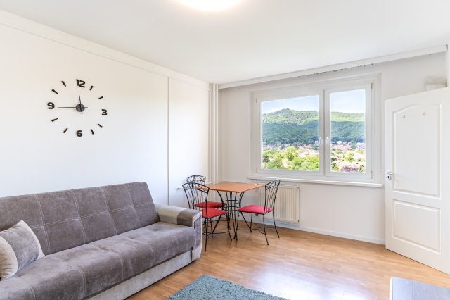 Kiadó panellakás, albérlet, Miskolcon 110 E Ft / hó, 1+1 szobás