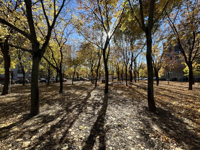 Eladó téglalakás, Budapesten, XIII. kerületben 59.9 M Ft