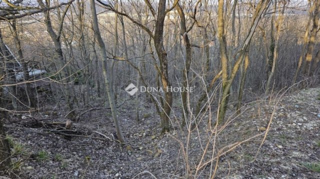 Eladó telek, Biatorbágyon 9.5 M Ft / költözzbe.hu