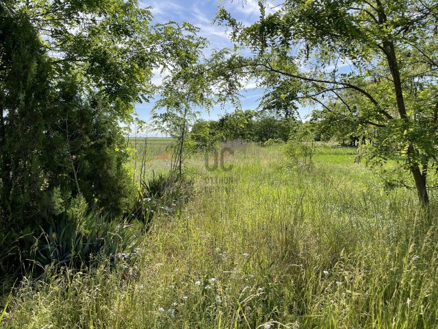 Eladó mezogazdasagi ingatlan, Abonyban 5 M Ft