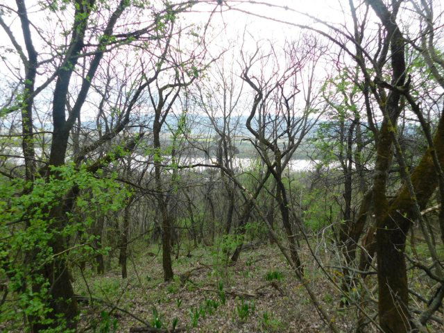 Eladó telek, Verőcén 9.9 M Ft / költözzbe.hu