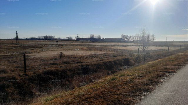 Eladó mezogazdasagi ingatlan, Bácsszentgyörgyön 75 M Ft