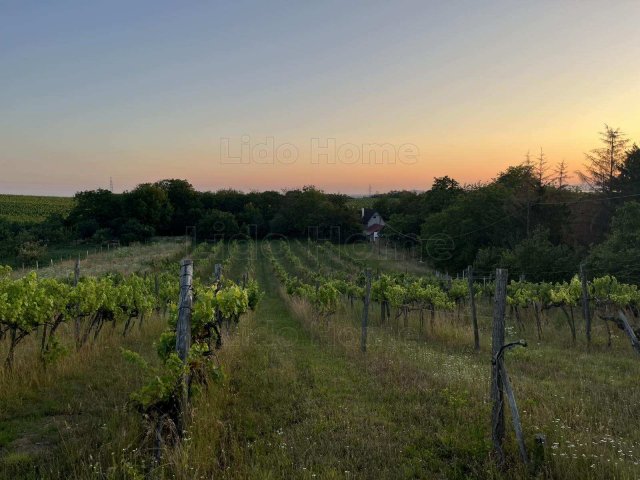 Eladó mezogazdasagi ingatlan, Balatonlelleén 29.5 M Ft