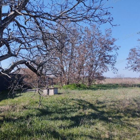 Eladó telek, Törökszentmiklóson 5.5 M Ft / költözzbe.hu