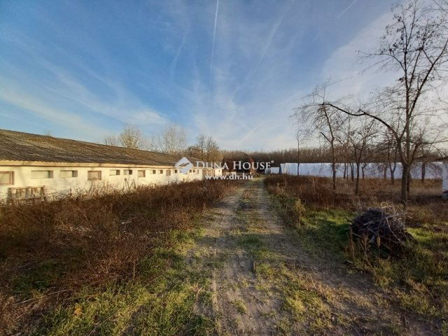 Eladó mezogazdasagi ingatlan, Kiskunmajsán 110 M Ft