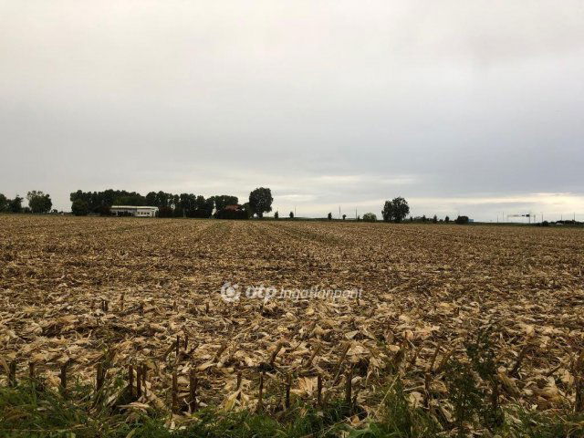 Eladó ipari ingatlan, Kaposváron 21.5 M Ft / költözzbe.hu