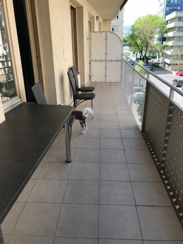 Kiadó téglalakás, albérlet, XIII. kerületben, Ipoly utcában