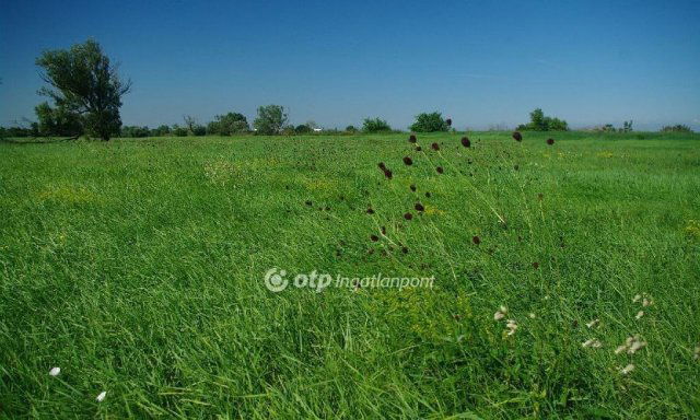 Eladó mezogazdasagi ingatlan, Székesfehérvárott 110 M Ft