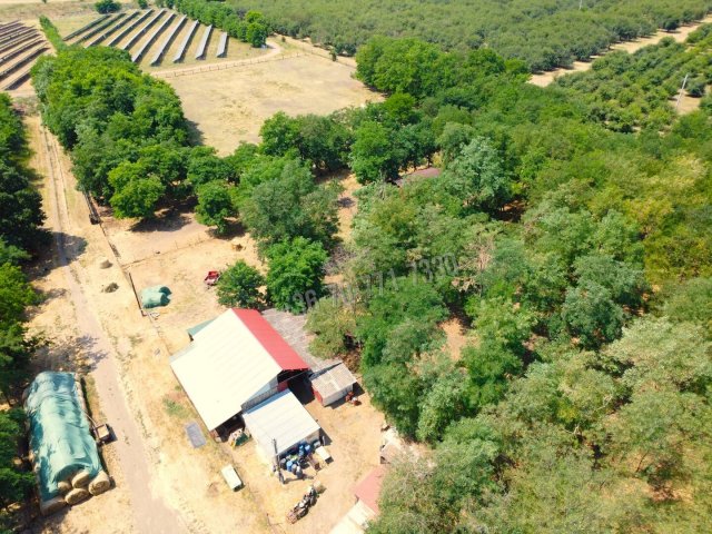 Eladó mezogazdasagi ingatlan, Tenken 32.9 M Ft