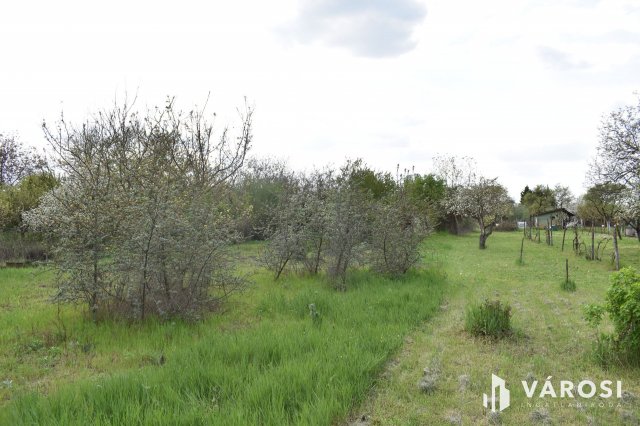 Eladó mezogazdasagi ingatlan, Gyulán 2.8 M Ft