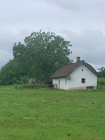 Eladó mezogazdasagi ingatlan, Buzsákon 19.9 M Ft