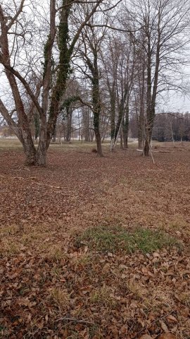 Eladó telek, Zalakaroson 39.5 M Ft / költözzbe.hu