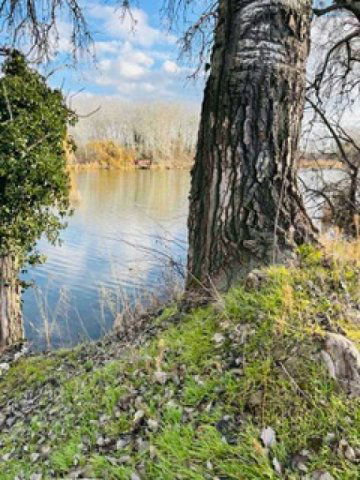 Eladó telek, Szigetcsépen 45 M Ft / költözzbe.hu