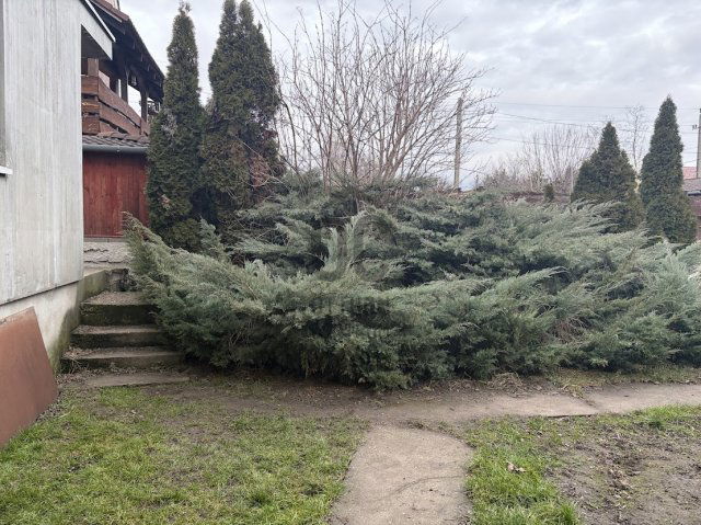 Eladó családi ház, Szigetszentmiklóson 100 M Ft, 5 szobás