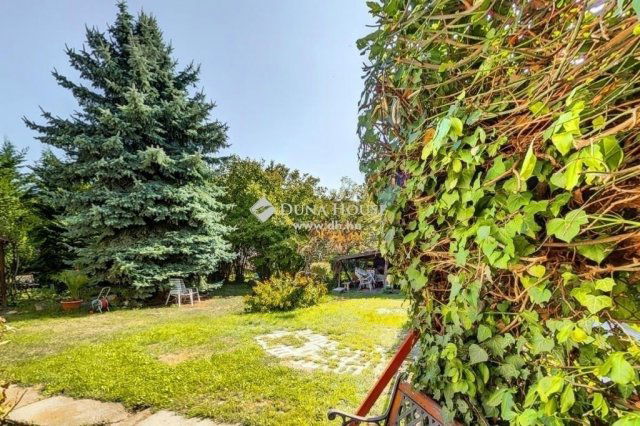 Eladó családi ház, Budakeszin 299 M Ft, 8 szobás