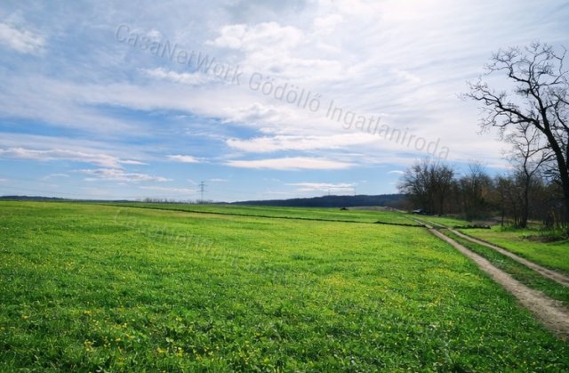 Eladó mezogazdasagi ingatlan, Őrbottyánban 2.5 M Ft