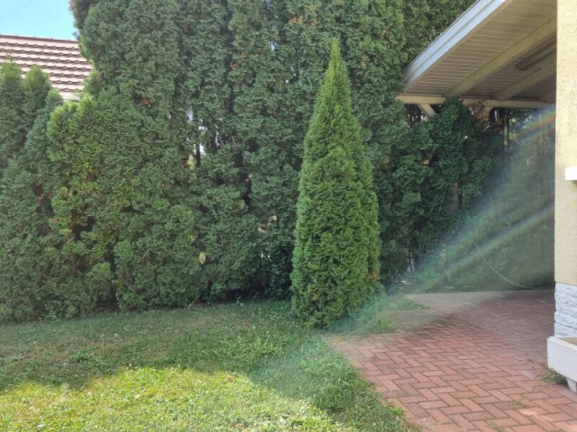 Eladó családi ház, Pilisvörösváron 187 M Ft, 5 szobás