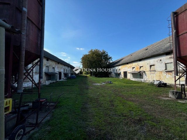 Eladó mezogazdasagi ingatlan, Kiskunfélegyházán 299 M Ft