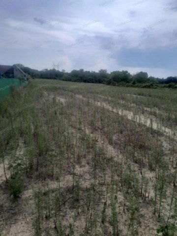 Eladó mezogazdasagi ingatlan, Helvécián 14.5 M Ft