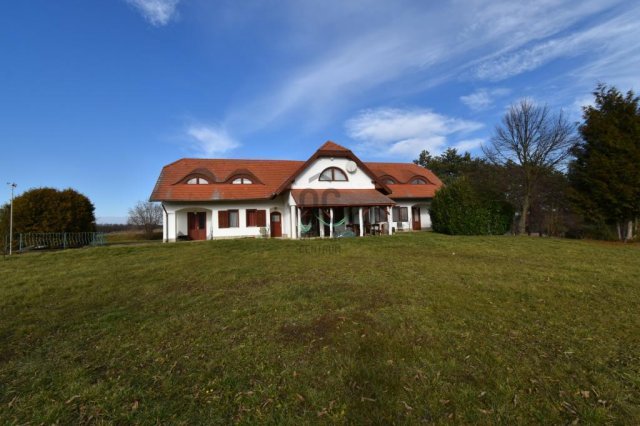 Eladó családi ház, Borsfán 115 M Ft, 12 szobás